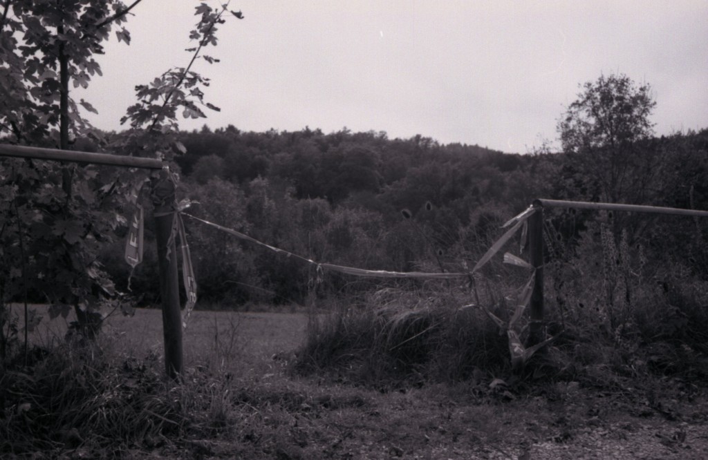 LEKI Flatterband an der Hahnweide